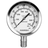 100 mm Severe Service Gauge